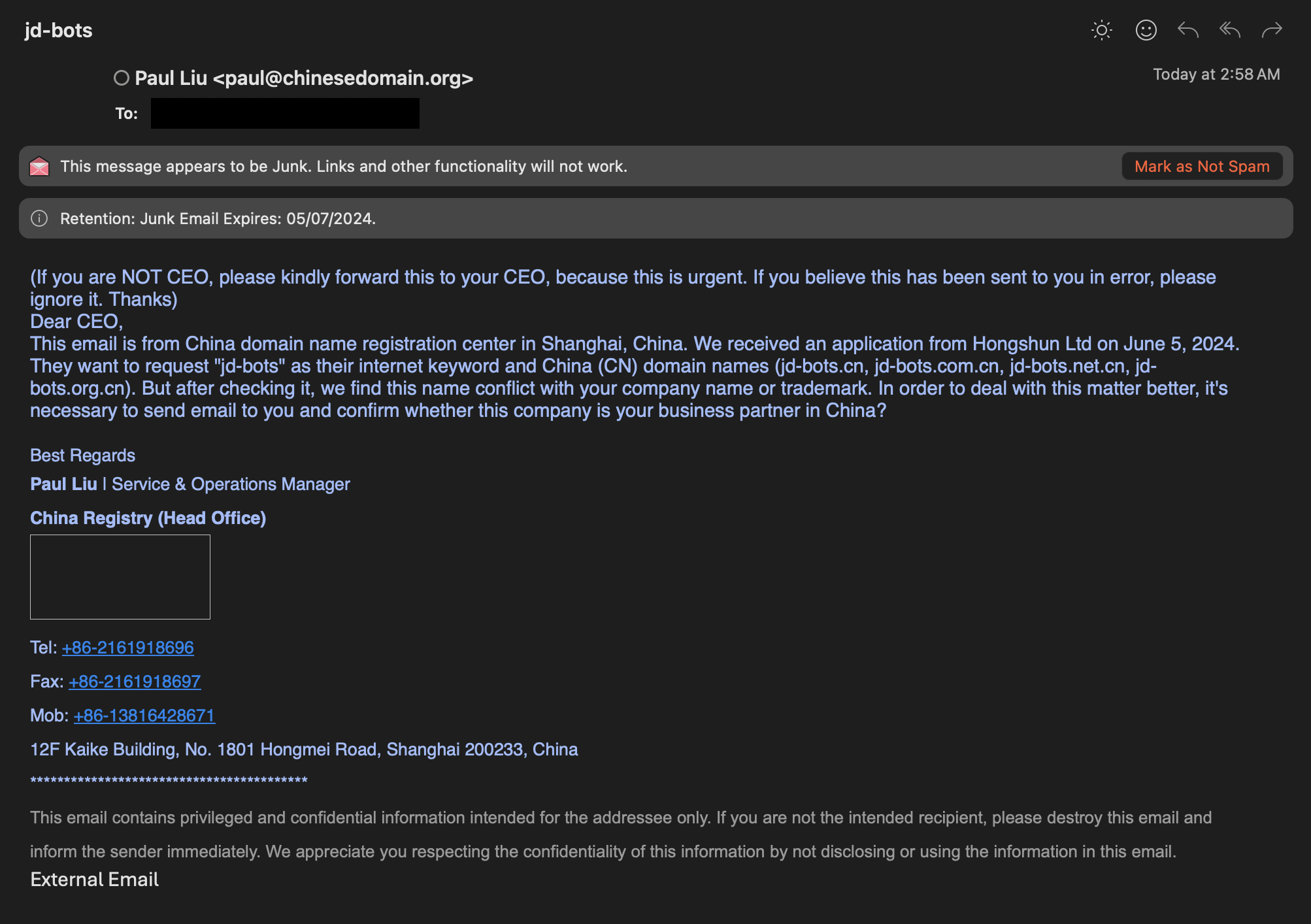 Attacking email screenshot